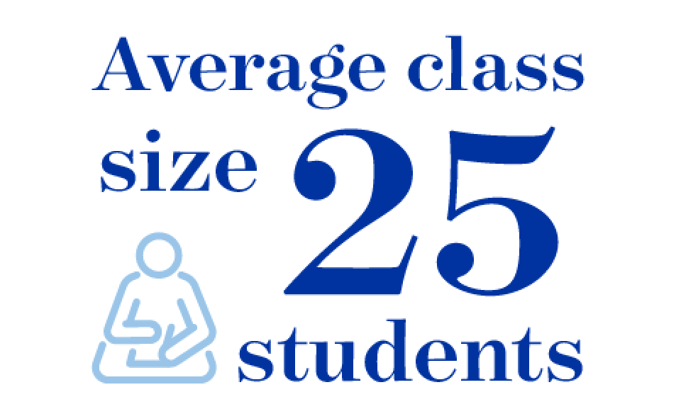 Average class size 25 students
